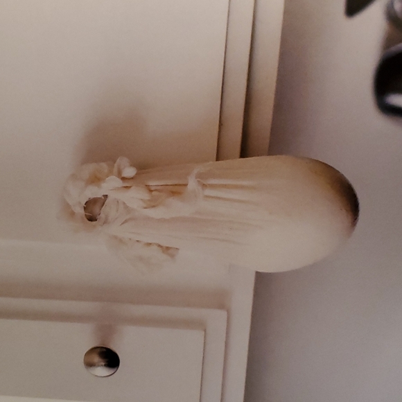 The Sprouted Kitchen Hardback Cookbook by Sara Forte - Picture 8 of 8